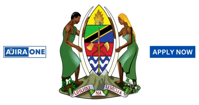 21 Kyela District Council Job Vacancies – October 2024