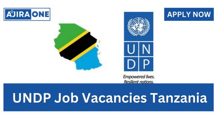 New UNDP Job Vacancy – October 2024