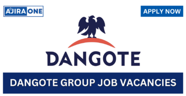 Junior Instrumentation Engineer Job at Dangote